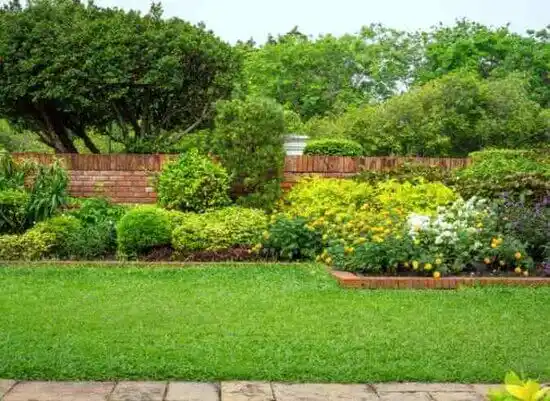 landscaping services Mount Holly